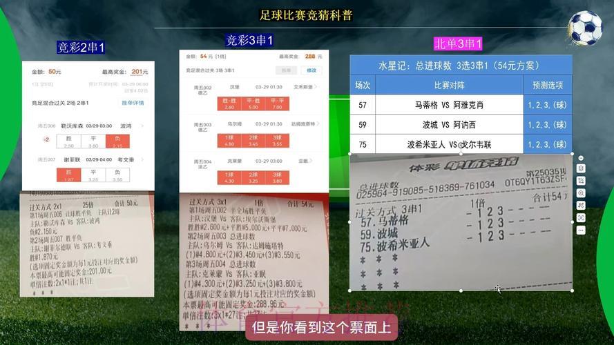 世界杯竞猜应用全面测评，深度解析各项功能亮点与不足
